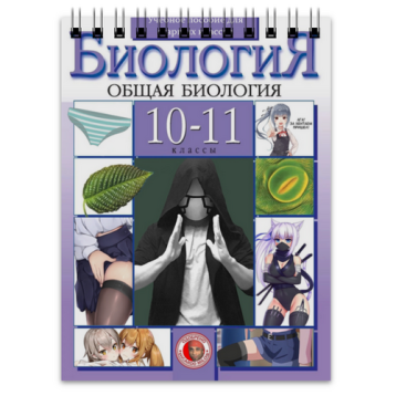 Купить Rozen Блокнот в Аниме интернет-магазине Акки с доставкой по России