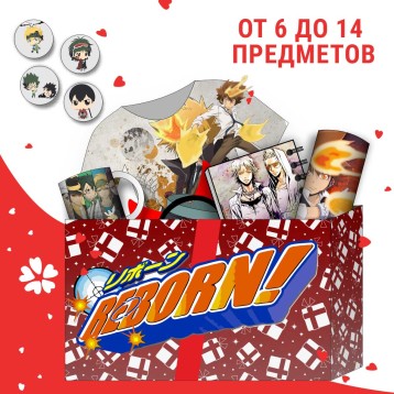 Купить Аниме BOX Учитель-мафиози реборн! в Аниме интернет-магазине Акки с доставкой по России