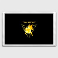 Магнит 45*70 «Team Instinct - Pokemon GO»