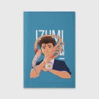 Обложка для паспорта матовая кожа «Izumi and Migi»