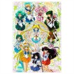 Купить Пазл Bishoujo Senshi Sailor Moon / Красавица-воин Сейлор Мун с главными героями (размер A4, 120 деталей) в Аниме интернет-магазине Акки с доставкой по России