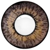 Цветные линзы для глаз Cooper Vision Color Tones Grey