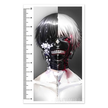 Купить Линейка (10см) Tokyo Ghoul - Kaneki Ken в Аниме интернет-магазине Акки с доставкой по России