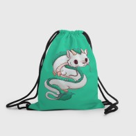 Рюкзак-мешок 3D «Милый дракон Хаку зеленый фон»
